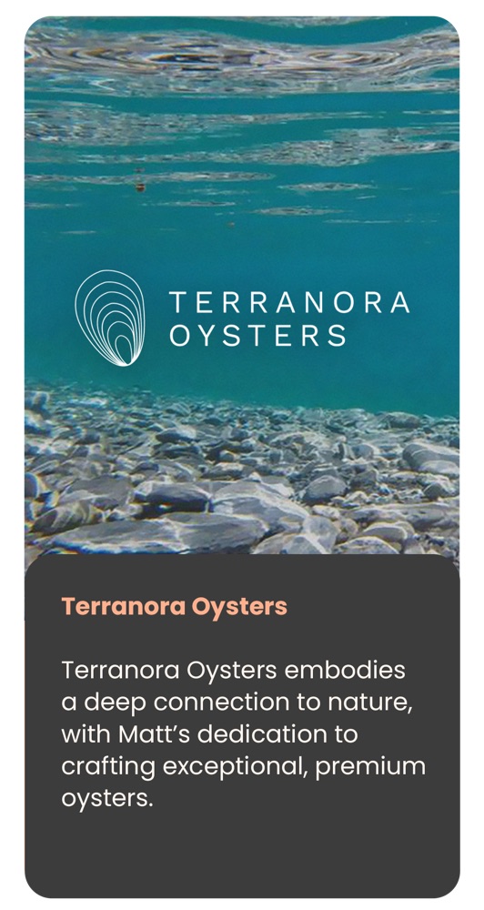 Terranora Oysters branding on turquoise ocean imagery